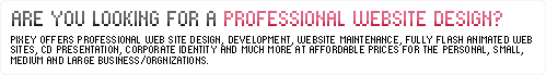 Are You Looking For A Professional Website Design?
